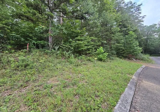 2nd image of 157 Lower Brow Road, Dunlap, TN 37327 | MLS# 3315490