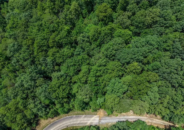 4th image of 157 Lower Brow Road, Dunlap, TN 37327 | MLS# 3315490