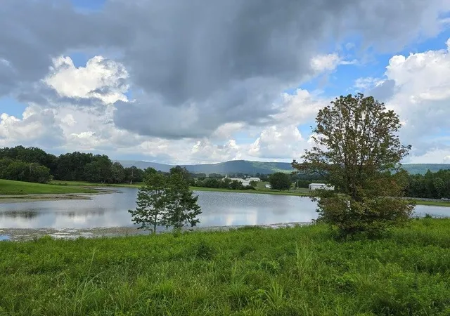 3rd image of 1 Spring Lake Dr, Dunlap, TN 37327 | MLS# 3315493