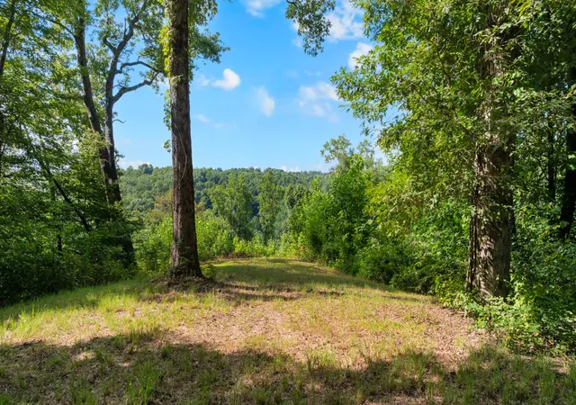 Photo 2 of Land for sale at 0 Coconut Ridge Rd, Smithville, TN 37166 | MLS# 3288225 | Listing updated on 2026-08-20