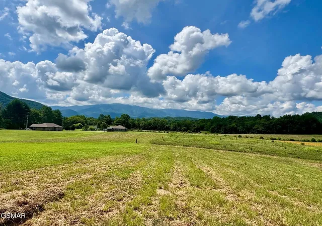 Land for sale at 5418 Cocke County Line Rd, Cosby, TN 37722 | MLS# 3591724