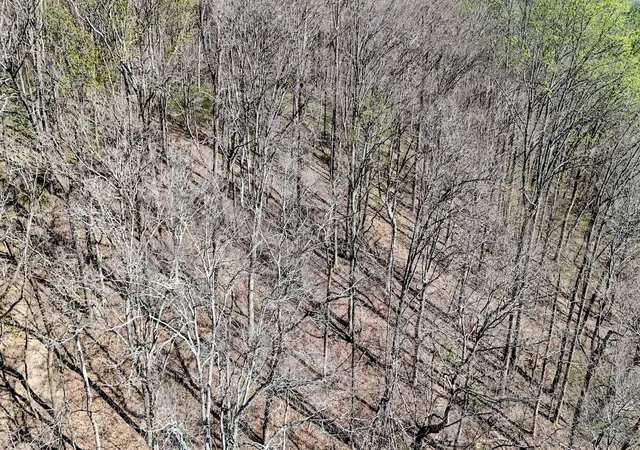 30th image of 410 Britton Hollow Rd, Pulaski, TN 38478 | MLS# 3288328