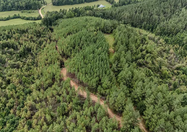 1st image of 0 Big Opposum Creek Rd, Linden, TN 37096 | MLS# 3288339
