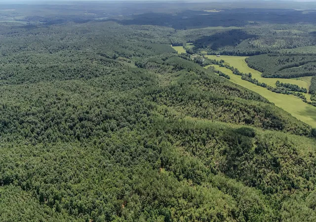 2nd image of 0 Big Opposum Creek Rd, Linden, TN 37096 | MLS# 3288339