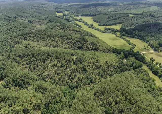 26th image of 0 Big Opposum Creek Rd, Linden, TN 37096 | MLS# 3288339