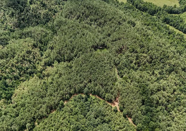 Photo 3 of Land for sale at 0 Big Opposum Crk Rd, Linden, TN 37096 | MLS# 3288339 | Listing updated on 2026-08-20