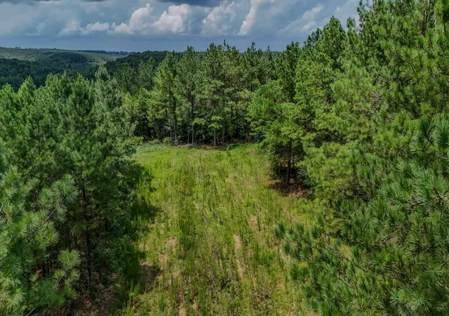 Photo 4 of House for sale at 0 Big Opposum Crk Rd, Linden, TN 37096 | MLS# 3288339 | Listing updated on 2026-08-20