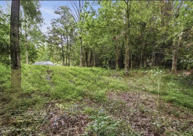 4th image of 0 Glen Echo Dr, Old Hickory, TN 37138 | MLS# 3297955