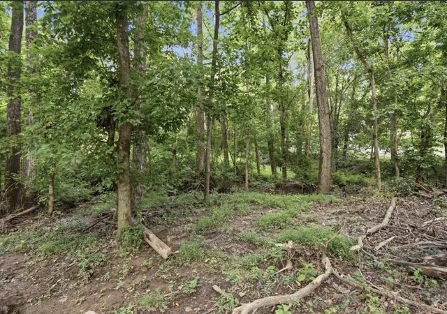 5th image of 0 Glen Echo Dr, Old Hickory, TN 37138 | MLS# 3297955