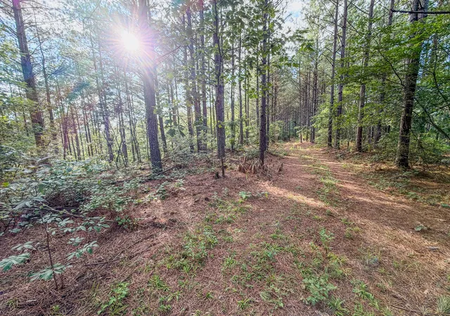 1st image of 164 Center Ridge Dr, Linden, TN 37096 | MLS# 3288375