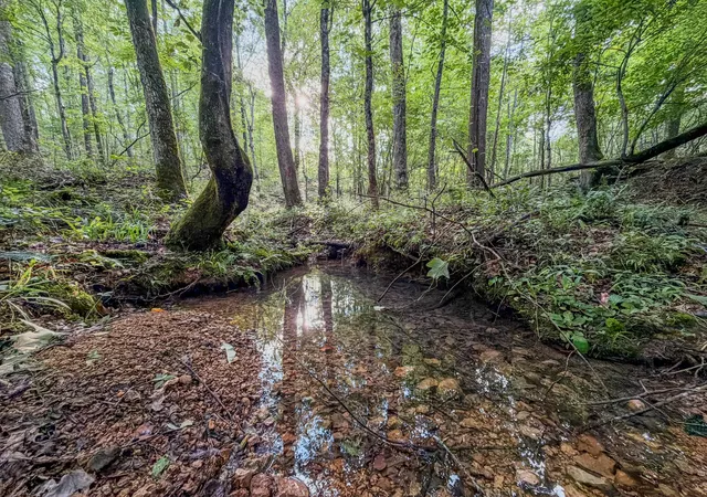 2nd image of 164 Center Ridge Dr, Linden, TN 37096 | MLS# 3288375