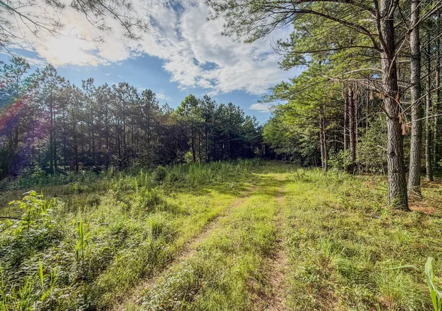 4th image of 164 Center Ridge Dr, Linden, TN 37096 | MLS# 3288375