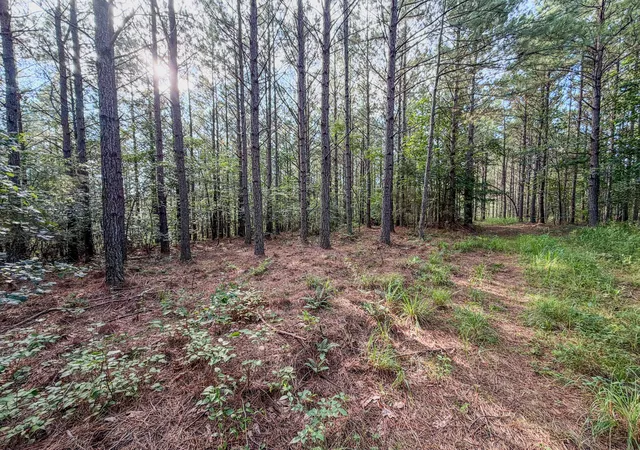 5th image of 164 Center Ridge Dr, Linden, TN 37096 | MLS# 3288375