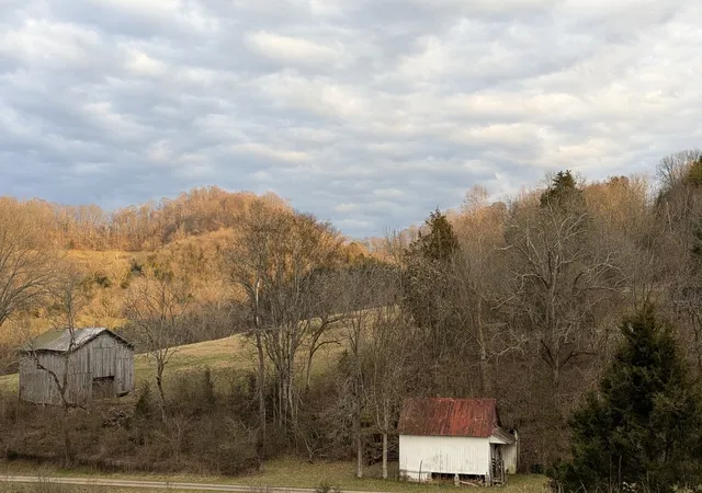 58th image of 197 Granville Hwy, Chestnut Mound, TN 38552 | MLS# 3288388