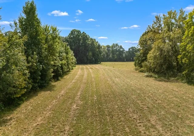Photo 3 of Land for sale at 2 Osburn Rd, Arrington, TN 37014 | MLS# 3601482 | Listing updated on 2026-09-26