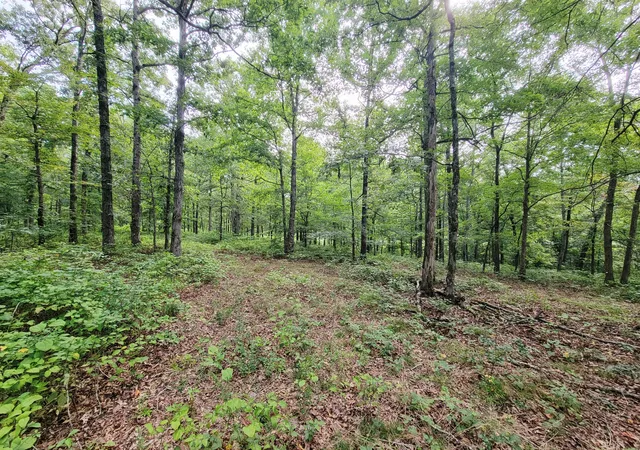 Photo 1 of Land for sale at 0 Ridgewood Dr, Mc Ewen, TN 37101 | MLS# 3304804 | Listing updated on 2026-07-23