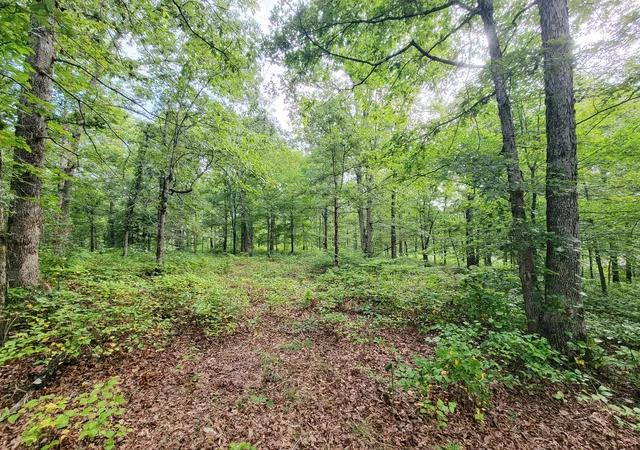 Photo 2 of Land for sale at 0 Ridgewood Dr, Mc Ewen, TN 37101 | MLS# 3304804 | Listing updated on 2026-07-23