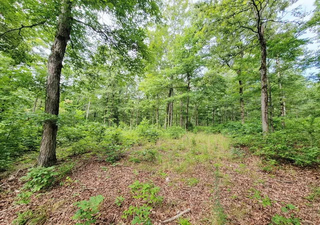 Photo 3 of Land for sale at 0 Ridgewood Dr, Mc Ewen, TN 37101 | MLS# 3304804 | Listing updated on 2026-07-23