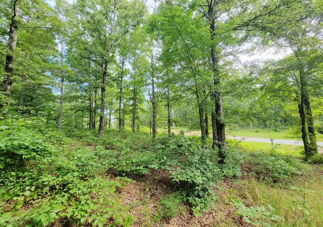 Photo 3 of Land for sale at 0 Ridgewood Dr, Mc Ewen, TN 37101 | MLS# 3304804 | Listing updated on 2026-07-23