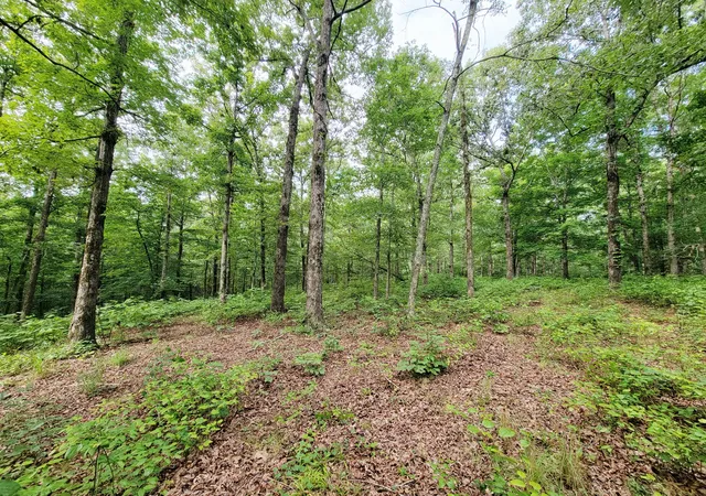 Photo 4 of Land for sale at 0 Ridgewood Dr, Mc Ewen, TN 37101 | MLS# 3304804 | Listing updated on 2026-07-23