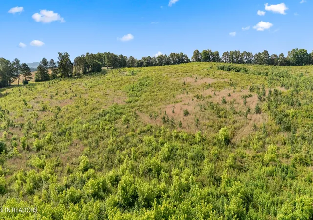 18th image of 0 Wade Rd, Loudon, TN 37774 | MLS# 3320633