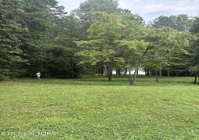 26th image of 772 Wood Duck Dr, Vonore, TN 37885 | MLS# 3320643