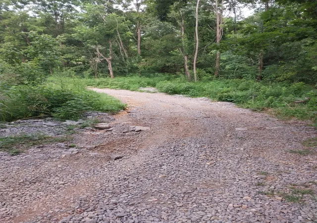 45th image of 1317 Hwy 259, Portland, TN 37148 | MLS# 3298040