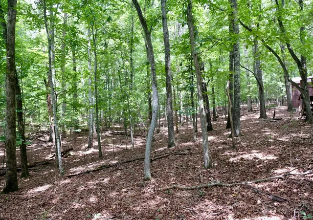 16th image of 756 Ewing Cemetery Road, Spring City, TN 37381 | MLS# 3288836
