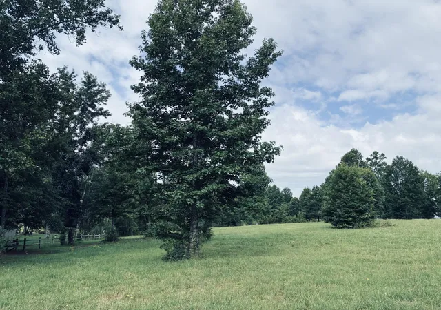 4th image of 205 Raulston Falls Road, Jasper, TN 37347 | MLS# 3295015