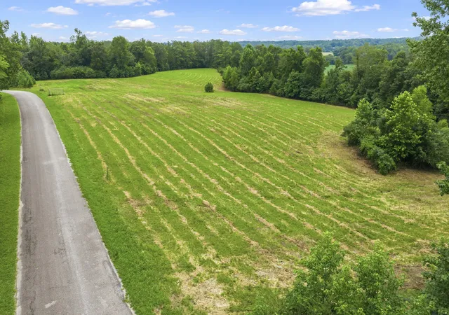 Photo 3 of Land for sale at 0 Lindsey Rd, Parsons, TN 38363 | MLS# 3297795 | Listing updated on 2026-08-17