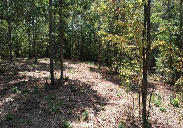 2nd image of 7011 Waynesboro Hwy, Lawrenceburg, TN 38464 | MLS# 3307336