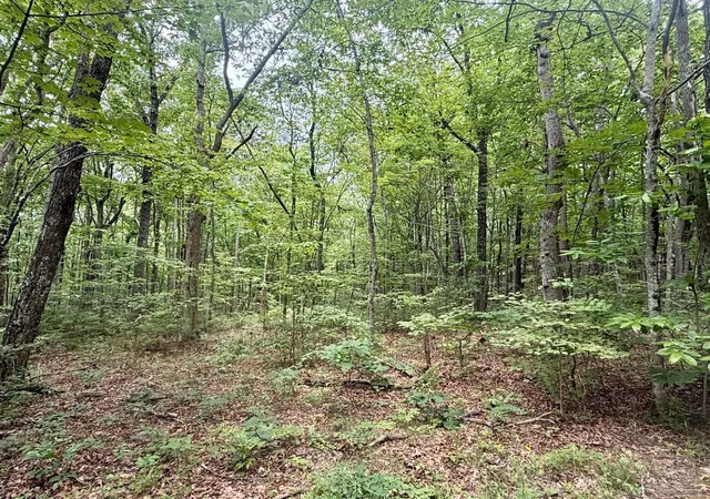 3rd image of 4104 Windridge Dr, Dunlap, TN 37327 | MLS# 3297868