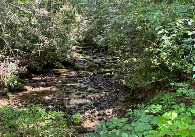 4th image of 4104 Windridge Dr, Dunlap, TN 37327 | MLS# 3297868
