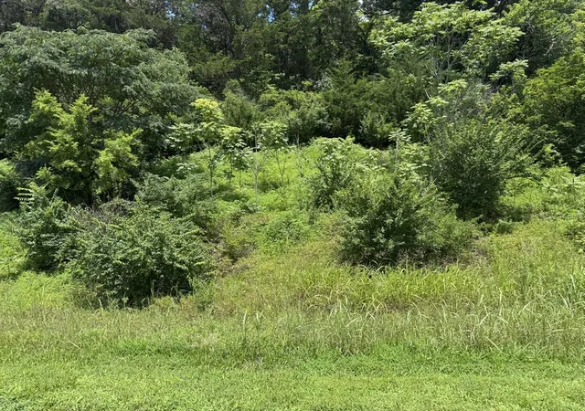 2nd image of 0 Liberty Pike, Franklin, TN 37067 | MLS# 3298043