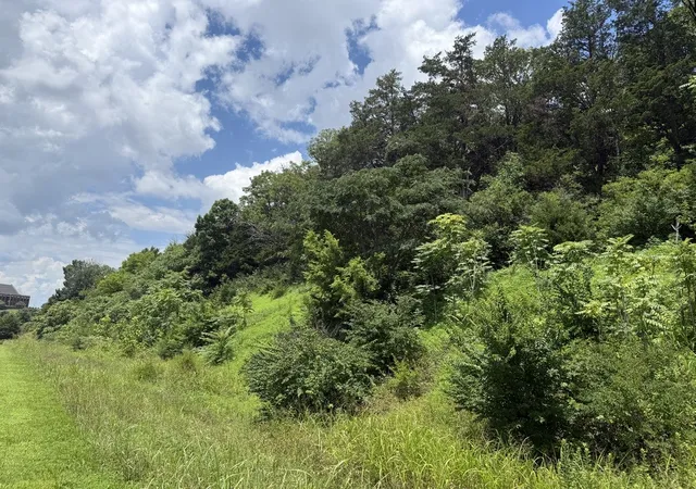 5th image of 0 Liberty Pike, Franklin, TN 37067 | MLS# 3298043