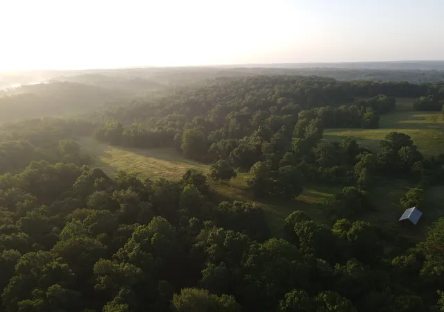 1st image of 1 Shiloh Canaan Road, Palmyra, TN 37142 | MLS# 3301891