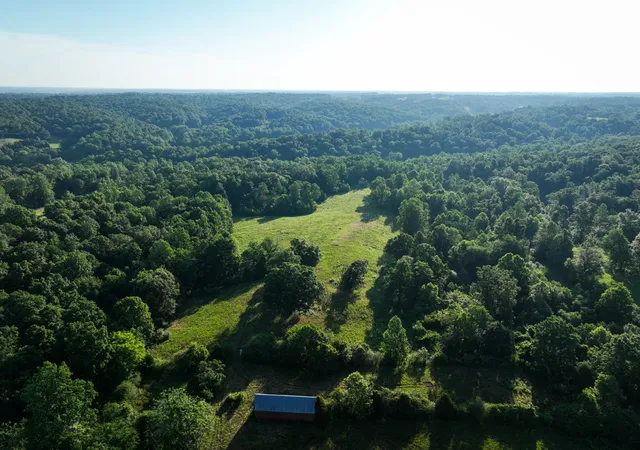 2nd image of 1 Shiloh Canaan Road, Palmyra, TN 37142 | MLS# 3301891