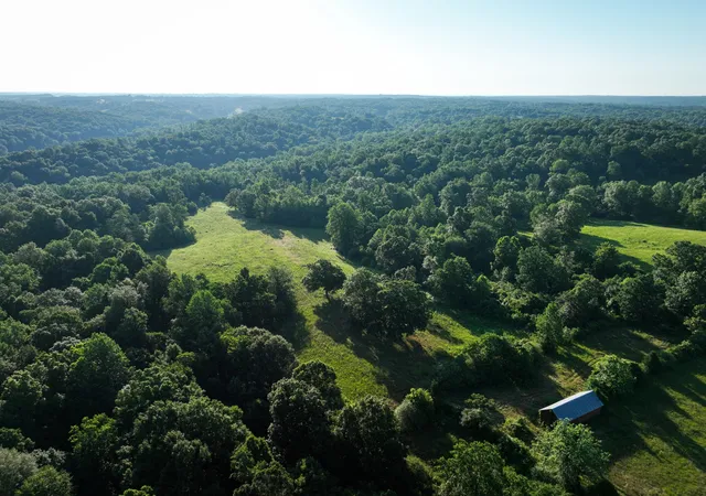 3rd image of 1 Shiloh Canaan Road, Palmyra, TN 37142 | MLS# 3301891