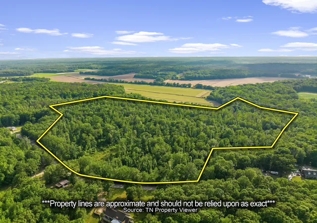 2nd image of 0 Shady Hill Rd, Lexington, TN 38351 | MLS# 3297918