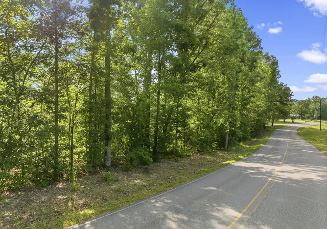 4th image of 0 Shady Hill Rd, Lexington, TN 38351 | MLS# 3297918