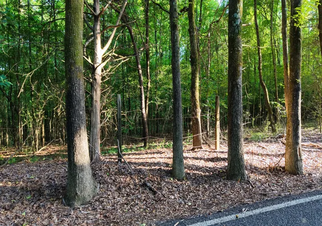 29th image of 0 Harrell Dr, Arlington, TN 38002 | MLS# 3302328
