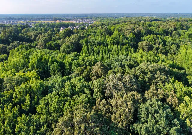 4th image of 0 Harrell Dr, Arlington, TN 38002 | MLS# 3302328