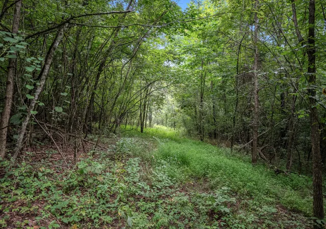 1st image of 0 New Center Church Road, Shelbyville, TN 37160 | MLS# 3305334
