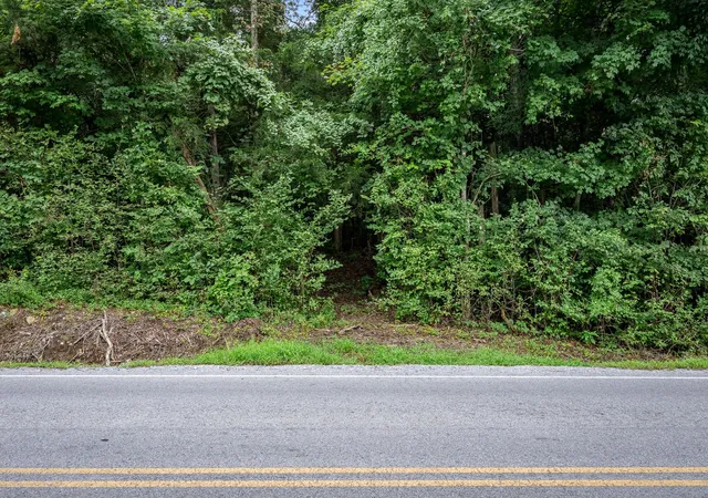 2nd image of 0 New Center Church Road, Shelbyville, TN 37160 | MLS# 3305334