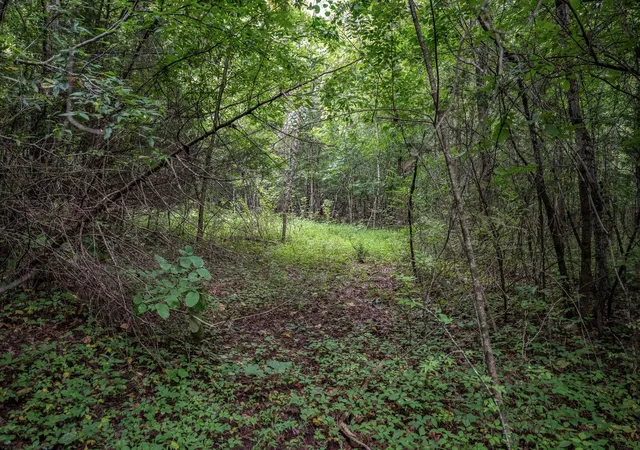 32nd image of 0 New Center Church Road, Shelbyville, TN 37160 | MLS# 3305334