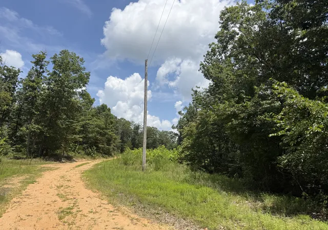 1st image of 0 Petty Dr, Linden, TN 37096 | MLS# 3299437