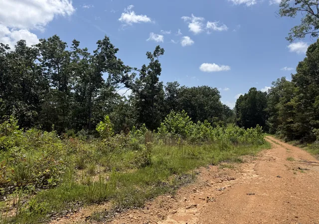 13th image of 0 Petty Dr, Linden, TN 37096 | MLS# 3299437