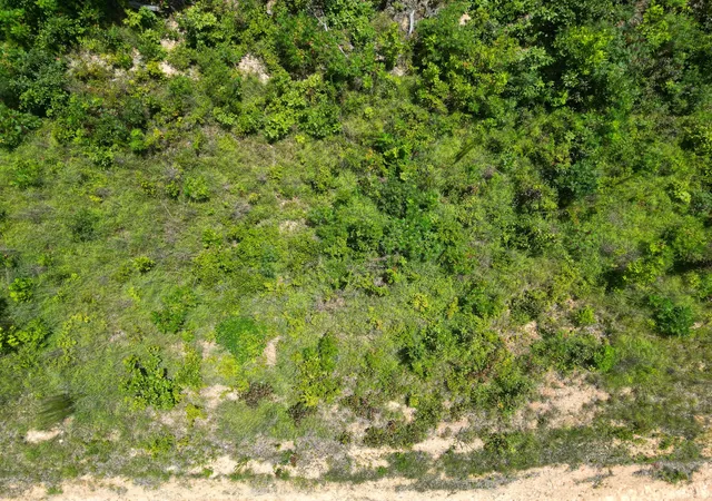 2nd image of 0 Petty Dr, Linden, TN 37096 | MLS# 3299437