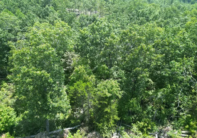 3rd image of 0 Petty Dr, Linden, TN 37096 | MLS# 3299437