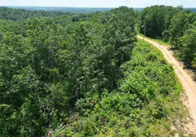 4th image of 0 Petty Dr, Linden, TN 37096 | MLS# 3299437